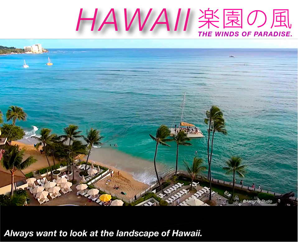 ハワイ楽園の風。ラナイ島ドライブ。美しい自然やビーチ、3分間のリラックスできる癒やしの風景ムービー。 オリジナルサウンドも楽しめる